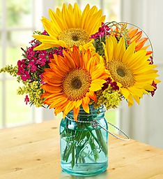 You Are The Sunshine of My Life! 
