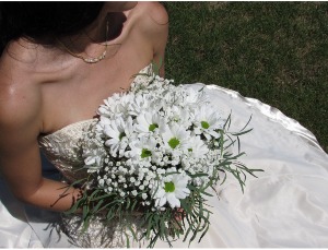 Country Daisy Bundle A Must give 2 weeks notice for availability
