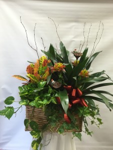Country Garden Basket Combo Basket