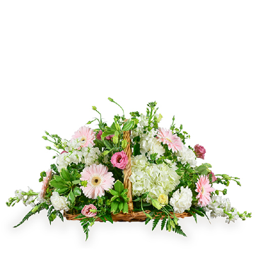 Country Meadow Fireside Basket in Seattle, WA | Neilsen Florist