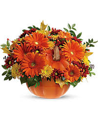 Country Pumpkin 