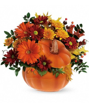 Country Pumpkin 