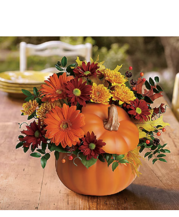 Country Pumpkin  in Port Huron, MI | THE FLOWER NICHE