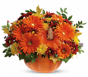 Country Pumpkin 