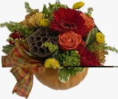 Country Pumpkin 