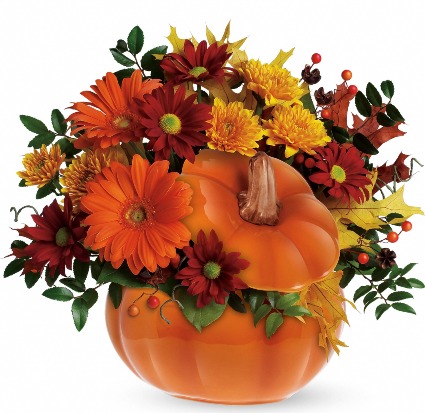 Country Pumpkin 