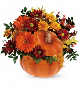 Country Pumpkin Fall