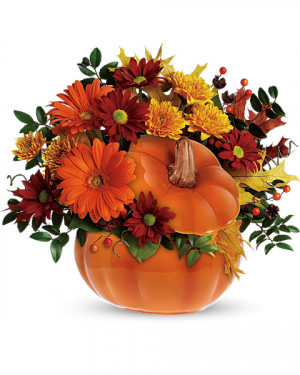 Country Pumpkin Fall