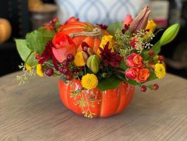 Country Pumpkin Fall in Acworth, GA | Davis Flowers