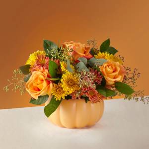 Country Pumpkin Arrangement in Sarasota, FL | SUNCOAST FLORIST