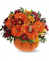 Country Pumpkin fresh flowers