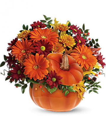 Country Pumpkin fresh flowers