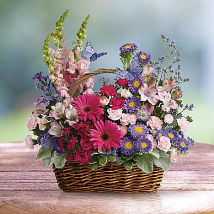 Country Spring 