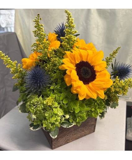 Country Sunshine Mixed 