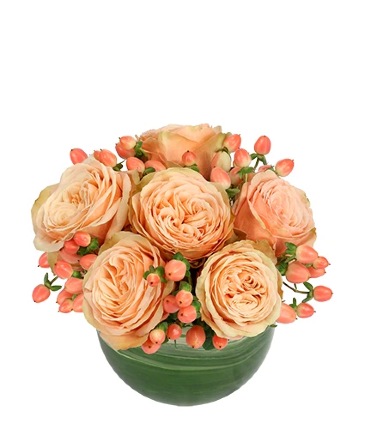 Cozy Coral Rose Arrangement in Florence, OR | LA JOIE FLEURI