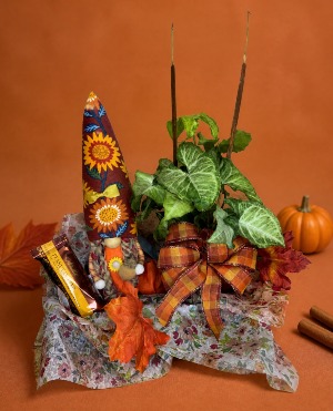 Cozy Gnome Bundle 