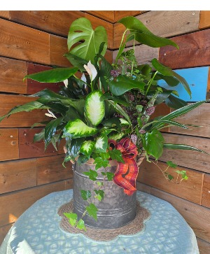 Cozy Jungle Planter