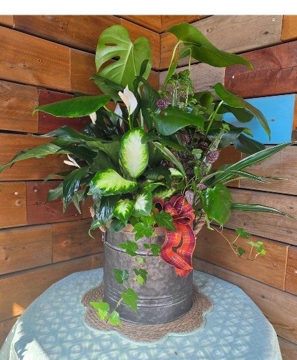 Cozy Jungle Planter