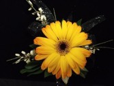 Cr-9 Gerbera Daisy Corsage Corsage-Wrist