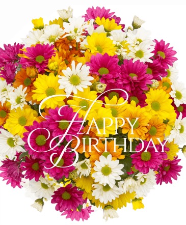 Seasonal Colorful DAISIES in Weatherford, OK | The Flower Box Florist