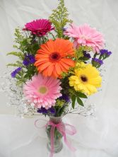 Crazy For Daisies 