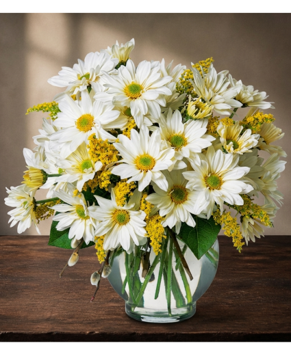 Crazy For DAISIES