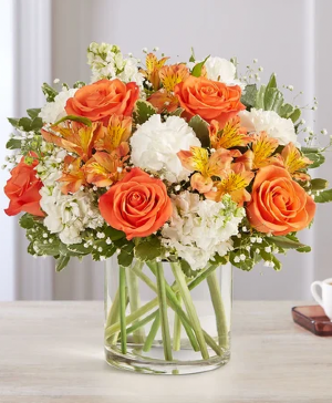 Creamsicle  Cylinder