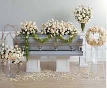 Creamy Roses Sympathy Collection Sympathy