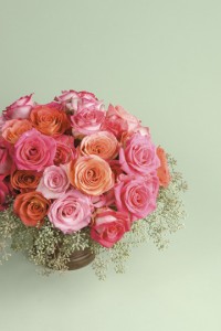 Creative See Arrangement