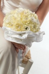 Creative See Carinations