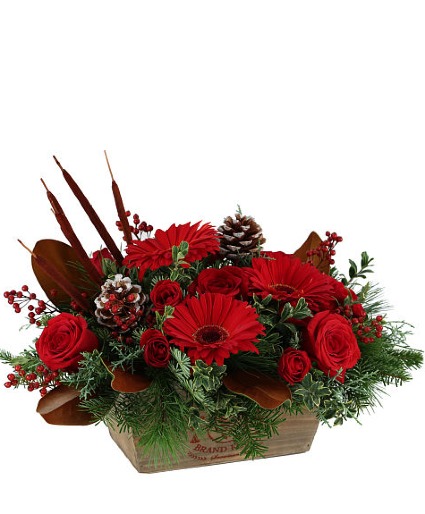 Crimson Christmas Arrangement