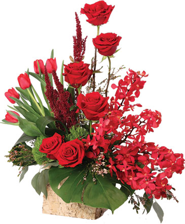 Crimson Class Floral Arrangement in Pocatello, ID | CHRISTINE'S FLORAL & GIFTS