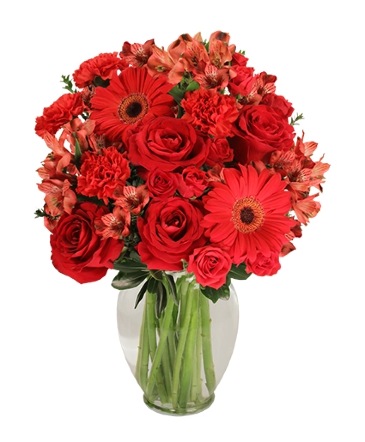 Charismatic Crimson Floral Arrangement in Philadelphia, PA | QA Test Account