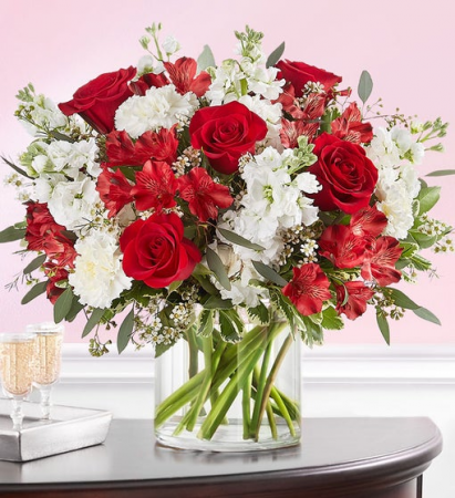 Crimson Rose Valentine's Day