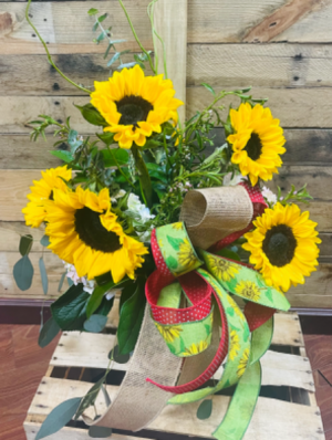 Crimson sunflowers  spring/summer