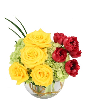 Crimson Sunrise Vase Arrangement in Spring, TX | Spring Trails Florist