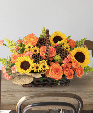 Crisp Autumn Morning Lifestyle Arrangement