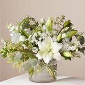 Crisp whites compact low style 
