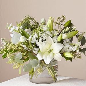 Crisp whites compact low style 