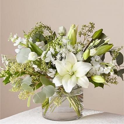 Crisp whites compact low style 