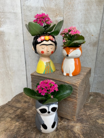 Critters with mini Kalanchoes 