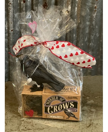 Crow bundle Toys