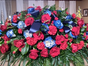 CS-30 Red and Blue 