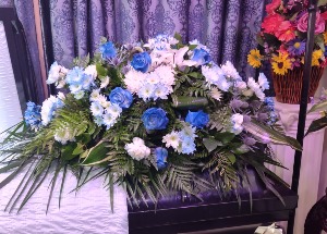 CS-8 Blue and White 