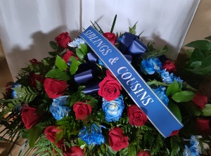 CS-9 Red and Blue with Banner 