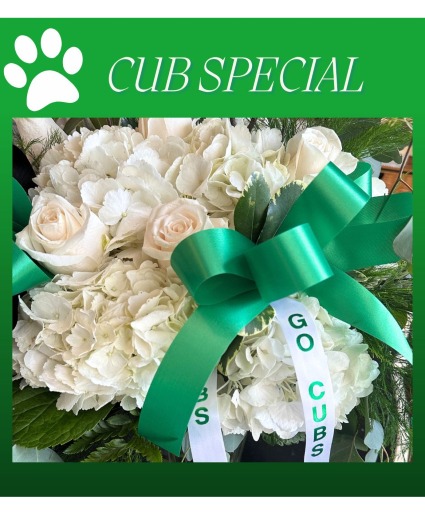CUB SPECIAL Arrangement