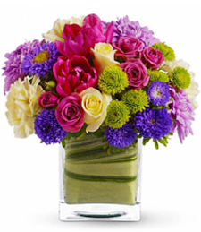 Cube Of Many Colours Cube Arrangement in Paradise, NL | PARADISE FLOWERS & GIFTS
