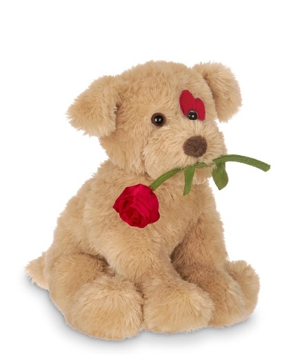Cuddles Plush 