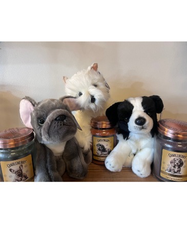 Cuddly Canine Gift Stuffed animal & candle in Warsaw, IN | ANDERSON FLORIST & GREENHOUSE