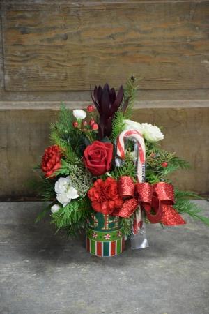 Cup of Christmas Candy Cane Coffee Mug Arrangement
